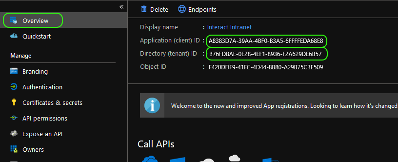 Application ID and Directory ID on the Overview page
