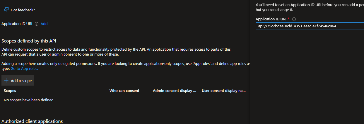 Set the Application ID URI