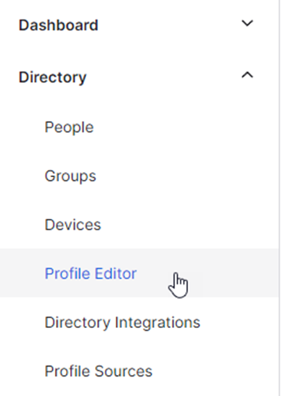 Profile Editor menu